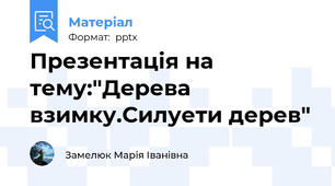 Презентація на тему:"Дерева взимку.Силуети дерев"