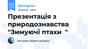 Презентація з природознавства "Зимуючі птахи  "