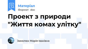 Проект з природи  "Життя комах улітку"