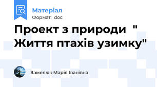 Проект з природи  " Життя птахів узимку"