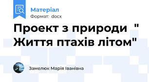 Проект з природи  " Життя птахів літом"