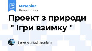 Проект з природи  " Ігри взимку "