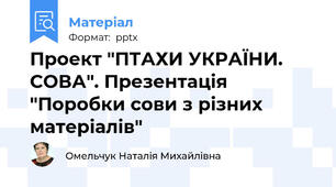 Проект "ПТАХИ УКРАЇНИ. СОВА". Презентація "Поробки сови з різних матеріалів"