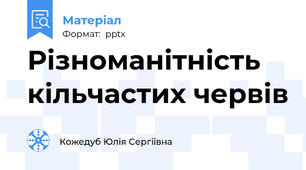 Різноманітність кільчастих червів
