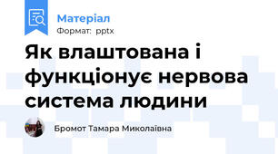Як влаштована і функціонує нервова система людини