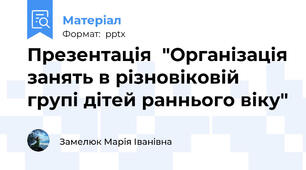 Презентація  "Організація занять в різновіковій групі дітей раннього віку"