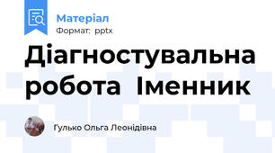 Діагностувальна робота  Іменник
