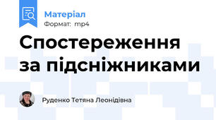 Спостереження за підсніжниками