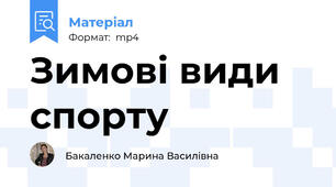 Зимові види спорту