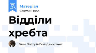 Відділи хребта