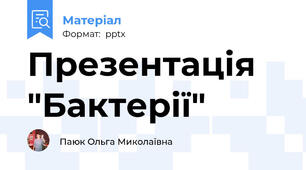 Презентація "Бактерії"