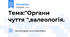 Тема:"Органи чуття ",валеологія.