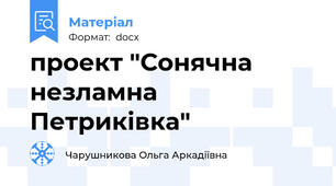 проект "Сонячна незламна Петриківка"