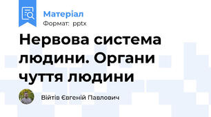 Нервова система людини. Органи чуття людини