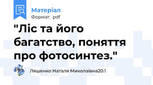 "Ліс та його багатство, поняття про фотосинтез."