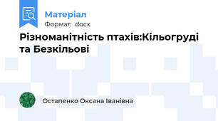 Різноманітність птахів:Кільогруді та Безкільові