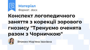 Конспект логопедичного заняття з корекції зорового гнозису "Тренуємо оченята разом з Чорничкою"