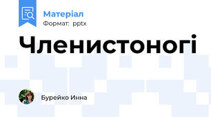 Членистоногі