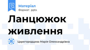 Ланцюжок живлення