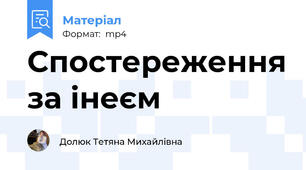 Спостереження за інеєм