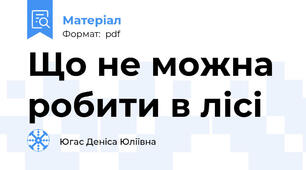 Що не можна робити в лісі