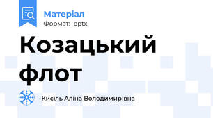 Козацький флот