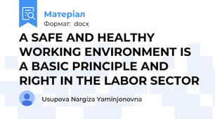 A SAFE AND HEALTHY WORKING ENVIRONMENT IS A BASIC PRINCIPLE AND RIGHT IN THE LABOR SECTOR