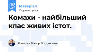 Комахи - найбільший клас живих істот.
