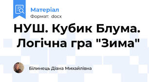 НУШ. Кубик Блума.  Логічна гра "Зима"