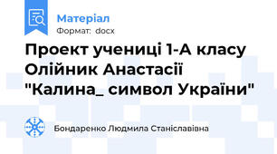 Проект учениці 1-А класу Олійник Анастасії "Калина_ символ України"