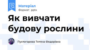 Як вивчати будову рослини