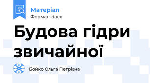 Будова гідри звичайної