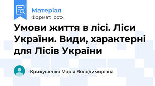 Умови життя в лісі. Ліси України. Види, характерні для Лісів України