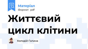 Життєвий цикл клітини