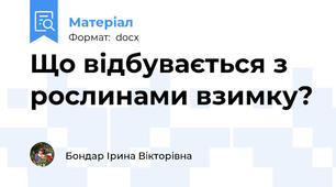 Що відбувається з рослинами взимку?