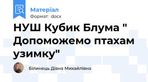 НУШ Кубик Блума " Допоможемо птахам узимку"