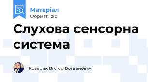 Слухова сенсорна система