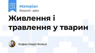 Живлення і травлення у тварин