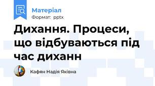 Дихання. Процеси, що відбуваються під час диханн