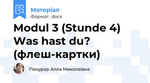 Modul 3 (Stunde 4) Was hast du? (флеш-картки)