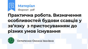 Практична робота. Визначення особливостей будови ссавців у зв’язку  з пристосуванням до різних умов існування