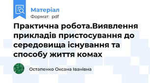 Практична робота.Виявлення прикладів пристосування до середовища існування та способу життя комах