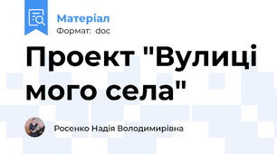 Проект "Вулиці мого села"