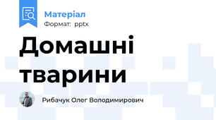 Домашні тварини