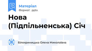 Нова (Підпільненська) Січ