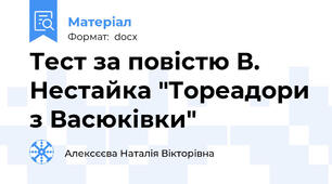 Тест за повістю В. Нестайка "Тореадори з Васюківки"