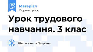 Урок трудового навчання. 3 клас