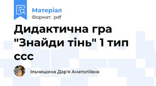 Дидактична гра "Знайди тінь" 1 тип ссс