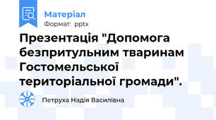 Презентація "Допомога безпритульним тваринам Гостомельської територіальної громади".