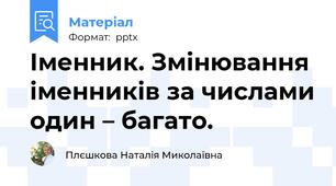 Іменник. Змінювання іменників за числами один – багато.